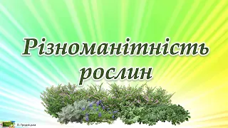 Різноманітність рослин Презентація для учнів початкових класів  #ЯДС​​ #природа3клас