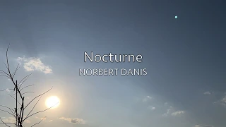 Norbert Danis - Nocturne