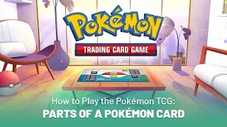 How to Play the Pokémon TCG: Parts of a Pokémon Card