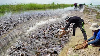 Top5 Videos Fishing on The Road Flooded 2021 - Amazing Catching & Catfish Swimming on The Road