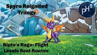 Spyro Ripto's Rage Flight Levels Best Routes