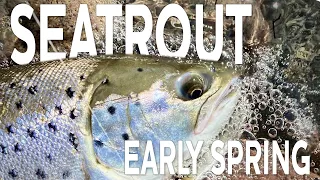 Seatrout - Early Spring | Westin Fishing