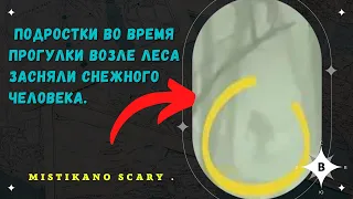 Возле Леса Подростки Случайно Засняли Снежного Человека.