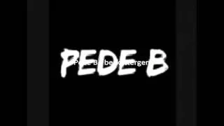 Pede B - Beskyttergen