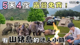 全台最美水岸免費露營區【竟有0元接駁遊園車帶你去玩】山豬島、釣魚平台、砂鍋魚頭｜大埔湖濱公園2024最新現況｜露營車泊｜Van Life《憂娘駕駛Outdoor》