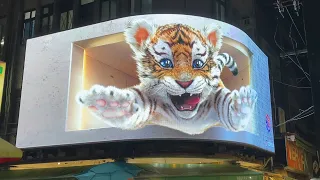 【4K】3D Tiger Billboard in Taipei Shilin Night Market