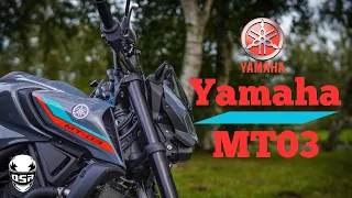 Yamaha MT03 // First Ride and Review // 4k