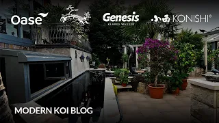 Modern Koi Blog #6103 - Daniela und Volker’s alter und von Genesis restaurierter 20K Liter Teich