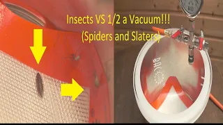 What happens when you put Insects in 1/2 a vacuum for 1hour? Will they survive?!