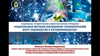 Защита кандидатской диссертации Волковой Ксении Андреевны