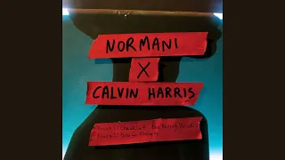 Normani, Calvin Harris feat. Wizkid - Checklist (Audio)