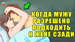 КОГДА МУЖУ РАЗРЕШЕНО ПОДХОДИТЬ К ЖЕНЕ СЗАДИ  РАЗРЕШЕННЫЕ И ЗАПРЕТНЫЕ ПОЛОВЫЕ ДЕЙСТВИЯ МУЖА И ЖЕНЫ