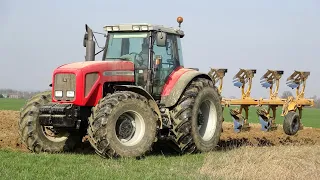 Massey Ferguson 8280 | Moro Aratri PNT 16AV | DALLA BETTA