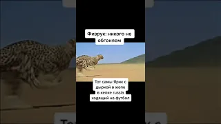 мемы тик ток 👍🏿 #shorts #memes  #tiktok #прикол #мем #рек #хочуврек #рекомендации