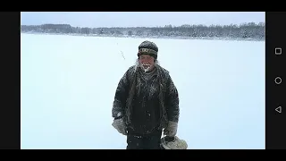 "Леший" Александр.  В гостях у "Лешего" в деревне. #1