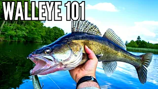 All About Walleye - (In just 7 MINUTES)