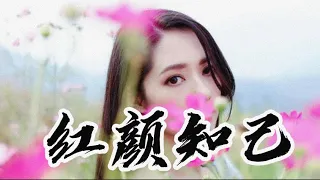 安静的伤感歌曲《红颜知己》