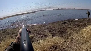 EPIC SNOW GOOSE HUNT  (100+ BIRD JUMP.. 2 BANDS!!)🌨