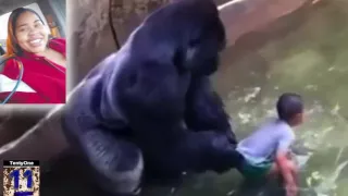 Listen to 911 Call From Mother Whose Son Fell into Cincinnati Zoo Gorilla Exhibit