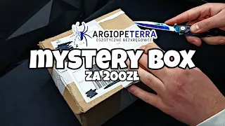 mystery box od argiopeterra za 200zł & aphonopelma seemanni 🕷️