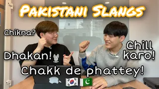 Korean guy teaches Urdu and Punjabi Slangs to Daud Kim│How much does he knows about Pakistan?