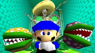 SM64 Bloopers: SMG3's Gauntlet of Gloom