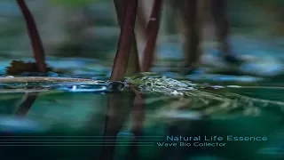 Natural Life Essence - Wave Bio Collector [Full Album]