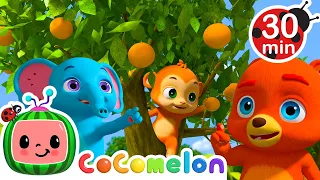 Grow Grow Grow Your Fruit (Animal Version) |  CoComelon Animal Time - Learning with Animals