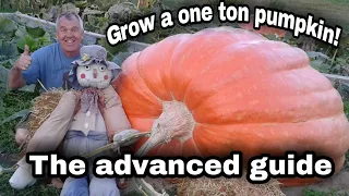 Grow a 2000 POUND Pumpkin Top 5 Tips