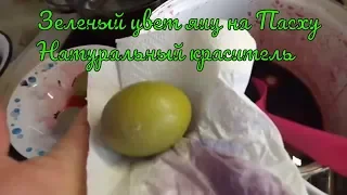 Красим яйца в зеленый цвет - натуральный краситель