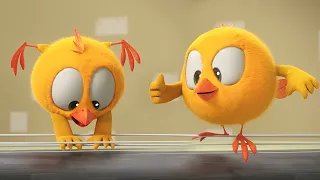 Where's Chicky? Funny Chicky 2021 🎵 MUSIC INSTRUMENTS | Chicky Cartoon in English for Kids