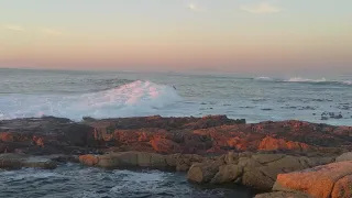 Seapoint Surfers Cape Town