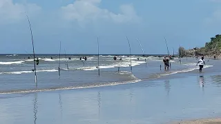 Addicted to Fishing (ATF) Los Iros Fishing Tournament (Ep 27-2023)