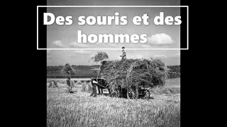 Des souris et des hommes (John Steinbeck)