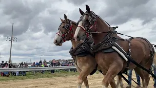 Luther Michigan horse pulls 2023