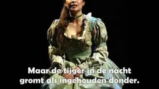 Les Miserables 2008/2009: Mijn droom