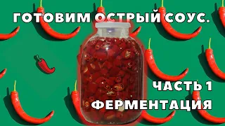 Готовим острый соус. Часть 1 — ферментация