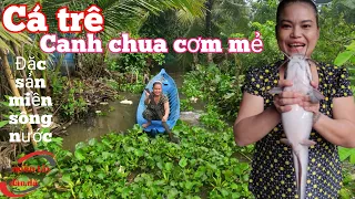 cá trê nấu canh chua cơm mẻ với chuối cây, đặc sản miền sông nước | miền tây dân dã | # 121