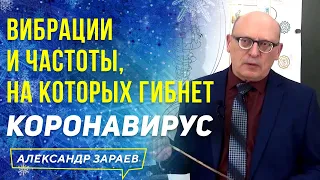 ВИБРАЦИИ И ЧАСТОТЫ, НА КОТОРЫХ ГИБНЕТ КОРОНАВИРУС l ФРАГМЕНТЫ СЕМИНАРА А. ЗАРАЕВА 2021