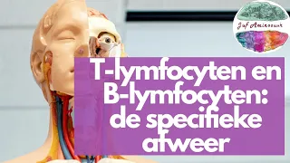 T-lymfocyten, B-lymfocyten en meer: de specifieke afweer (HAVO en VWO)