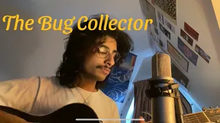 The Bug Collector - Haley Heynderickx - Cover by Sair