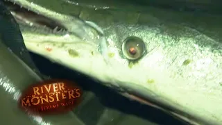 Catching A 123lbs Alligator Gar | ALLIGATOR GAR | River Monsters