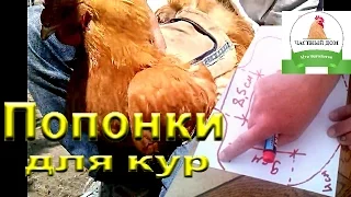 Петух разодрал курицу ? Делаем попоны для кур  сами!