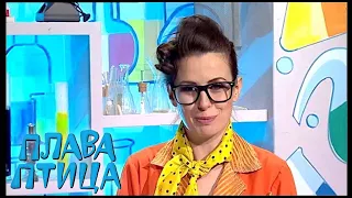 Plava ptica - Specijal 3 ( TV RTS 11. 06. 2016. )