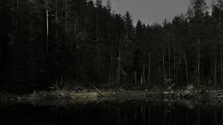 Top 5 Scary Sounds in the Woods? Creature?