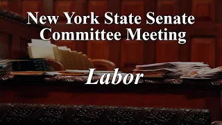 Senate Standing Committee on Labor - 05/26/20