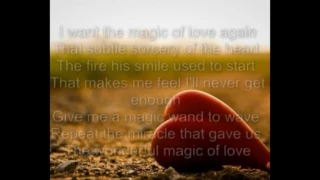 The Swan princess ~ The magic of love lyric video