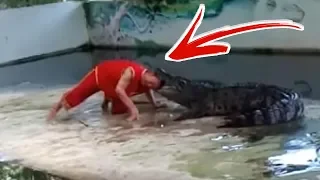 Man BARELY Escapes Alligator Jaws! FACT or FICTION?