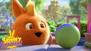 SUNNY BUNNIES - MAGICAL BALL | SEASON 7 COMPILATION | Cartoons for Kids