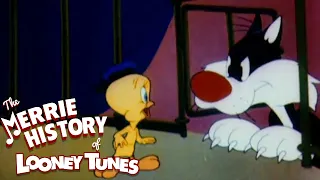 The New Stars and Management of Warner Bros. Cartoons | THE MERRIE HISTORY OF LOONEY TUNES